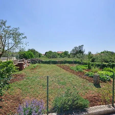 Holiday Dario Holiday home *